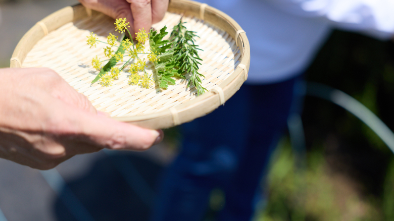 ご利用までの流れ